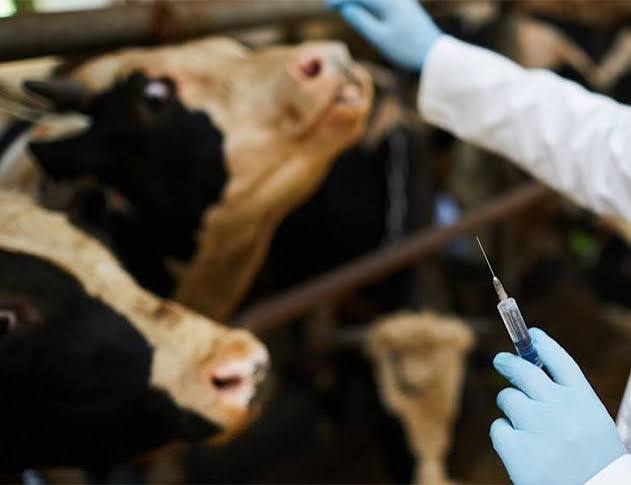 DEAR FARMERS, STOP DRUG ABUSE IN YOUR ANIMALS